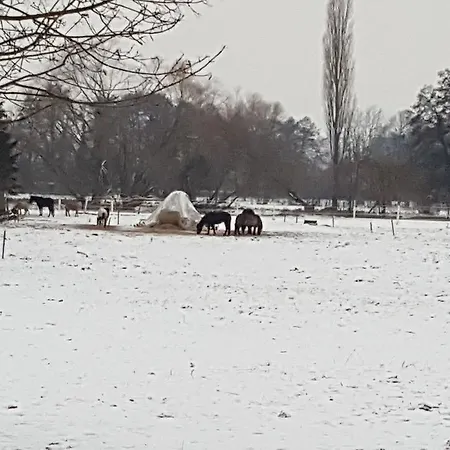 Kro Schillebold 3*