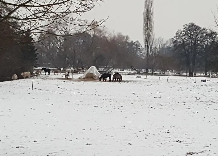 Värdshus Schillebold 3*