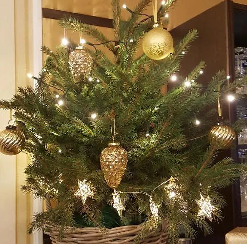 Värdshus Schillebold Peitz